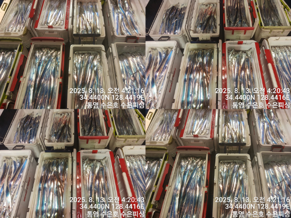 1755027075283-tile.jpg