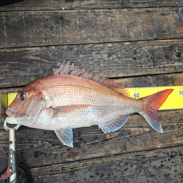 마검포 대한호(VIP)_사진_20250809_4.jpg