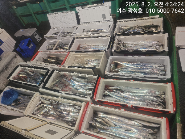 KakaoTalk_20250802_072714062_12.jpg