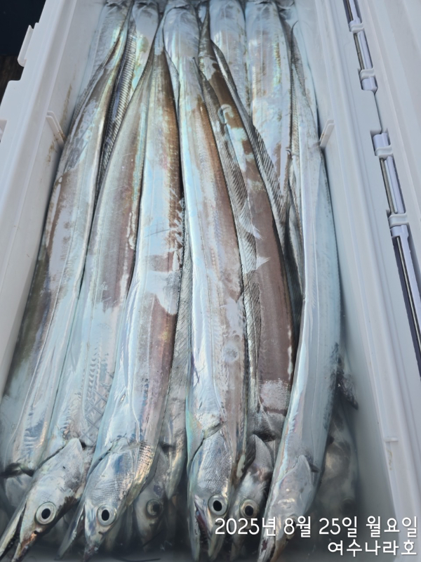 3B0542BE-ED9B-472F-BEB8-CE39D81C48B7.jpeg