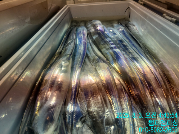 BandPhoto_2025_08_03_09_48_47_4.jpg