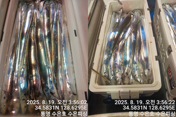 1755550103820-tile.jpg