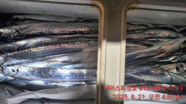 5f5abacd9df77979e51cc75189561746.jpg