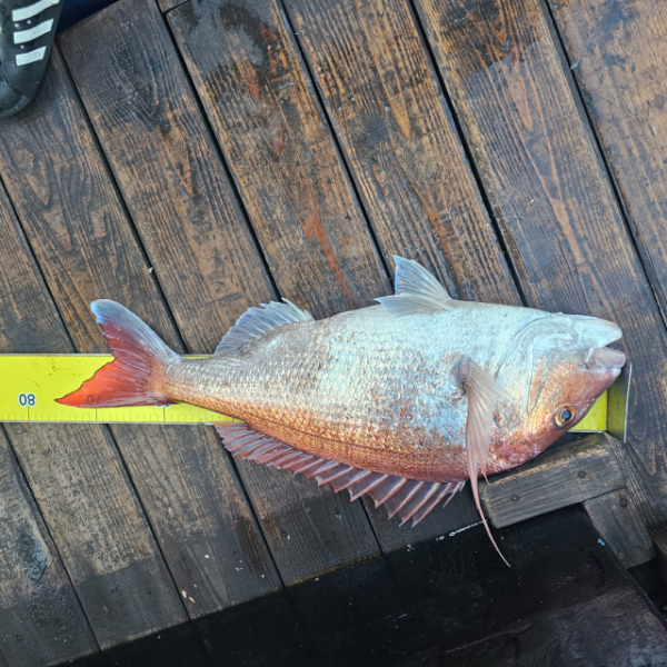 마검포 대한호(VIP)_사진_20250824_4.jpg