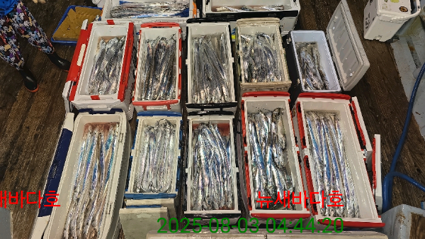 5fad211dca1758b12fca5bc78a65f0ec.jpg