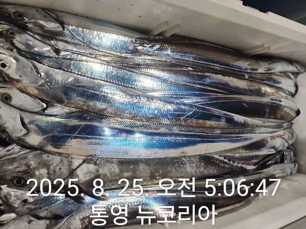 1000070432.jpg