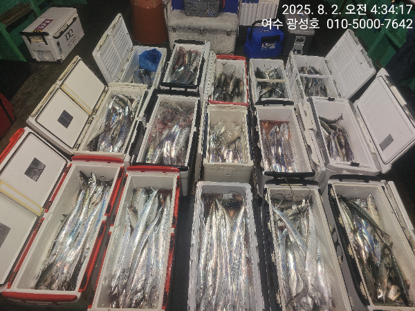 KakaoTalk_20250802_072714062_10.jpg