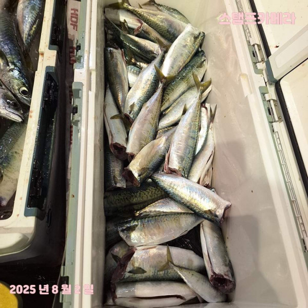 KakaoTalk_20250802_135732285_08.jpg