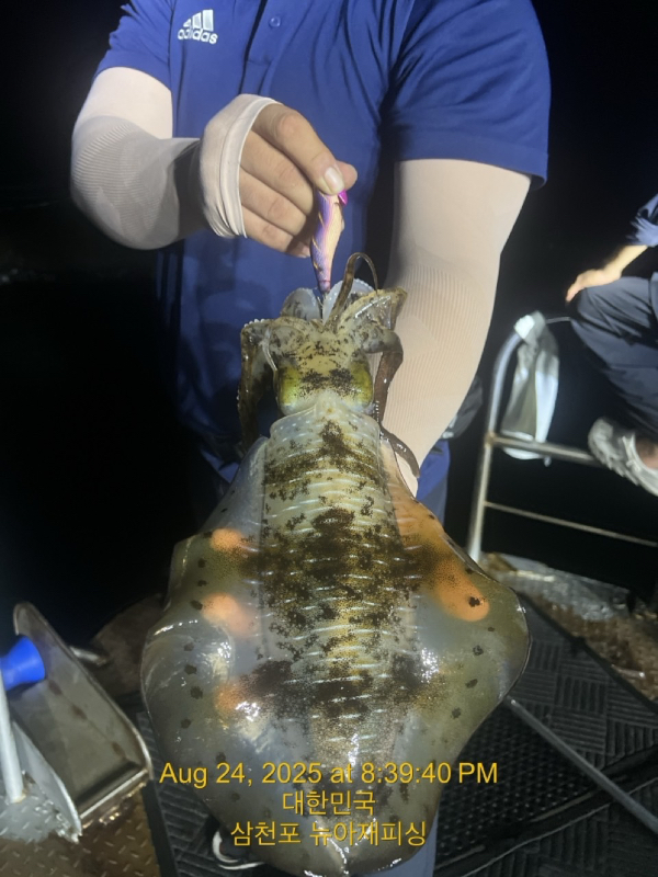 6017df4e58bb81d42605ce0f93eb5ba0.jpeg