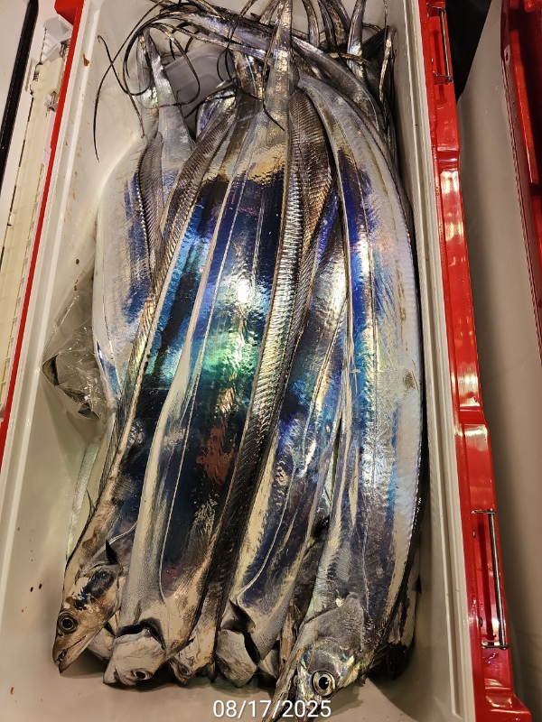 4B85E3F9-1085-41B5-873F-8BA06BA70445.jpeg