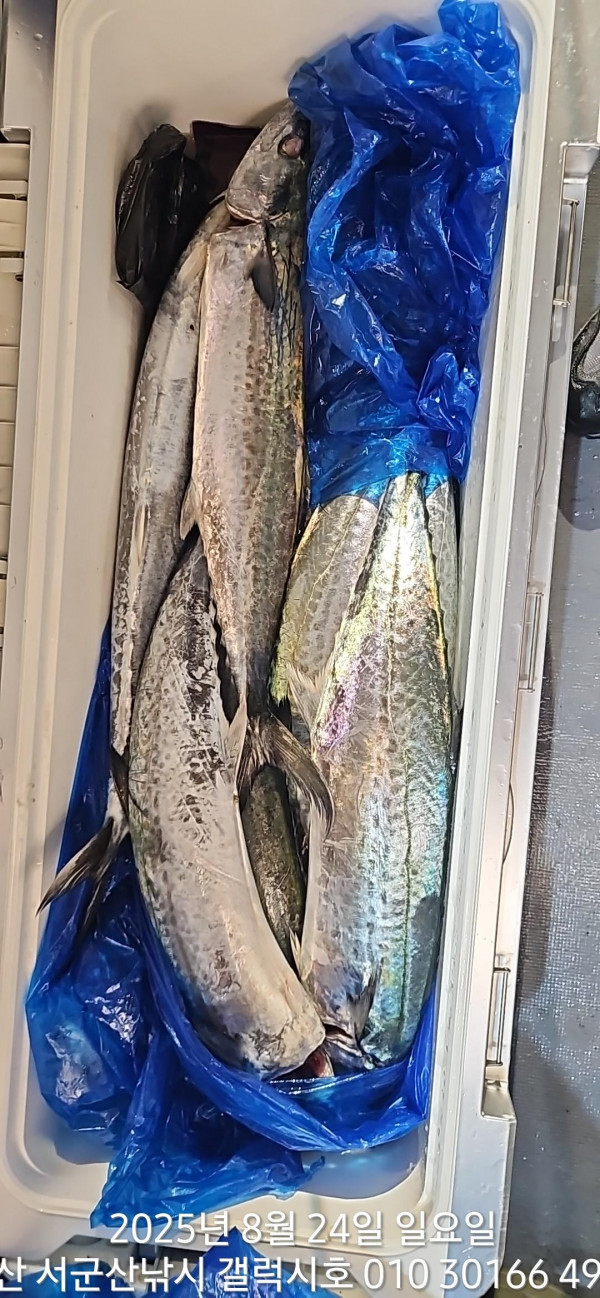 KakaoTalk_20250824_085534093_02.jpg