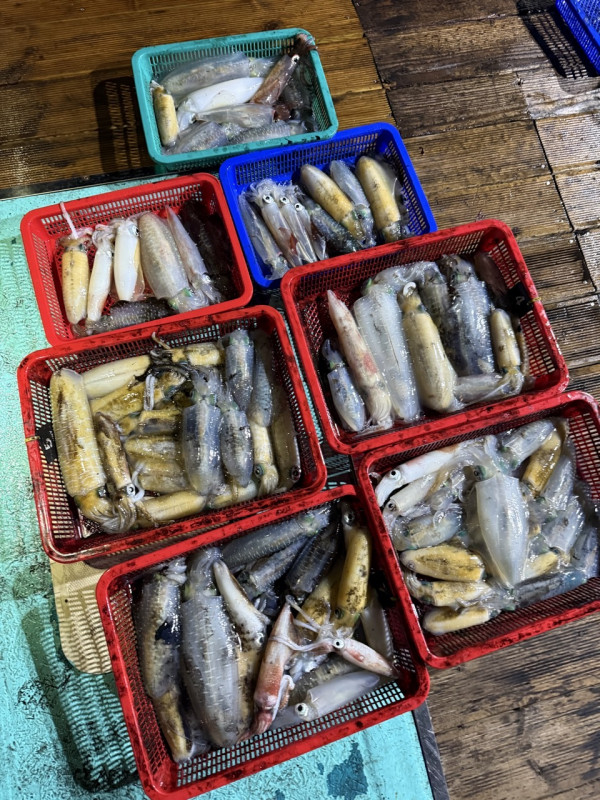 제주 쏘니호_사진_20250821_3.jpg