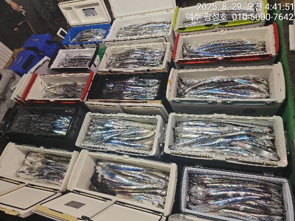 KakaoTalk_20250829_181212955_10.jpg