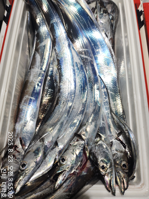 KakaoTalk_20250823_192442687_22.jpg