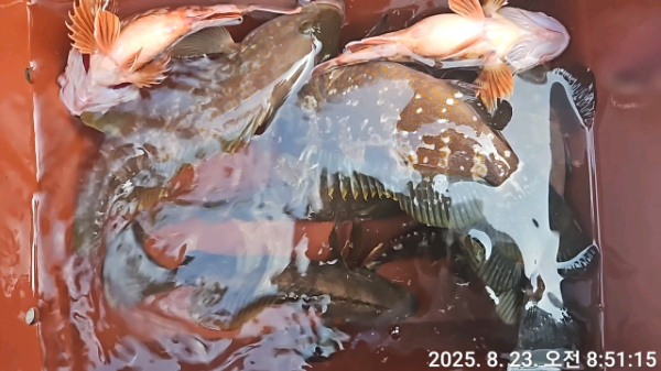 TimePhoto_20250823_085115.jpg