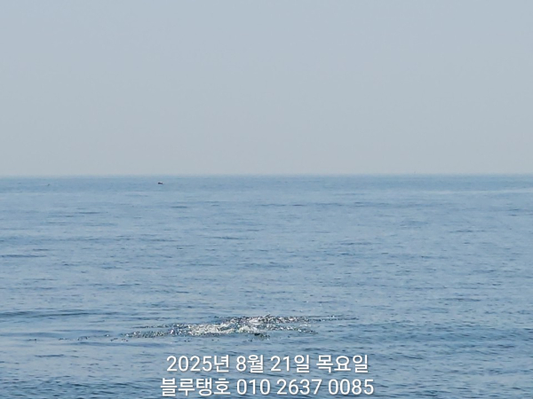 20250821_113845.jpg