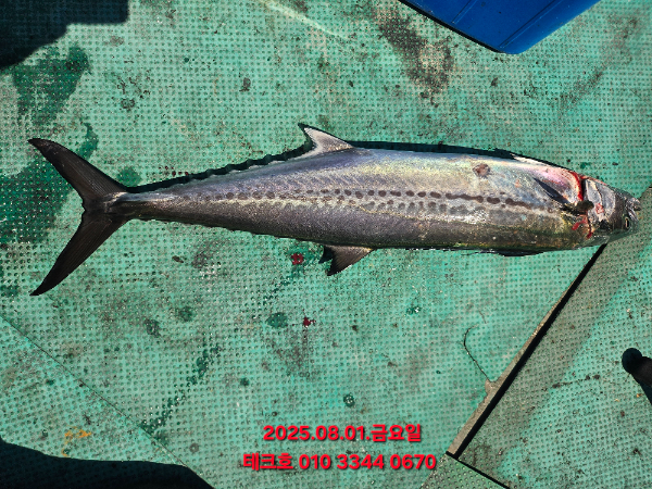 KakaoTalk_20250801_164059740_01.jpg