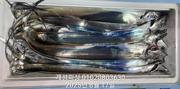 63bafea3cdfbaf05e5dd95dc38eca060.jpg