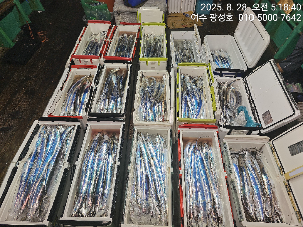 KakaoTalk_20250828_184111505_18.jpg