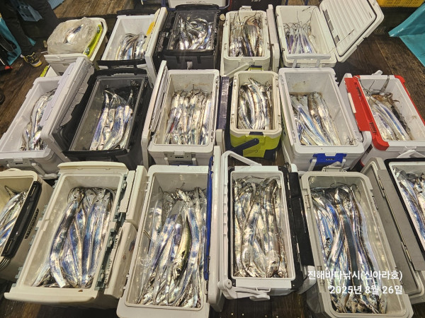 바다꾼낚시(신아라호)_사진_20250826_6.jpg