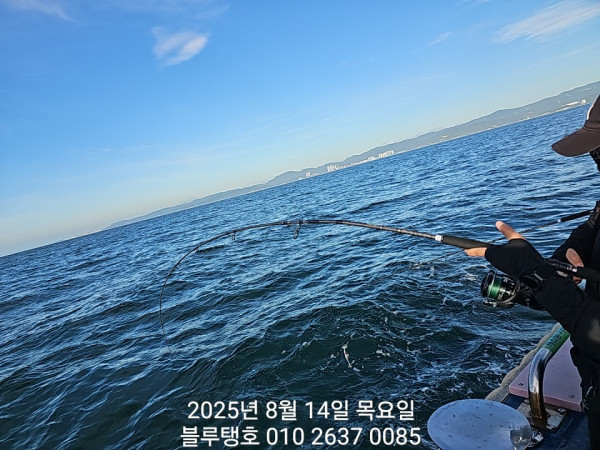 20250814_070358.jpg