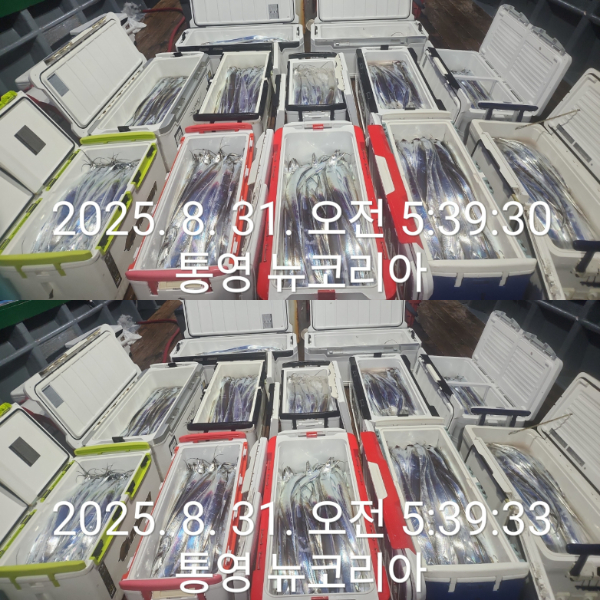 1000070993.jpg