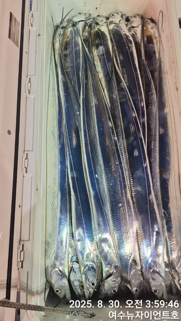 1756502178092-10.jpg
