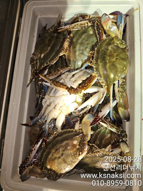 65f0a910c92fe7274109c08b9da04786.jpg