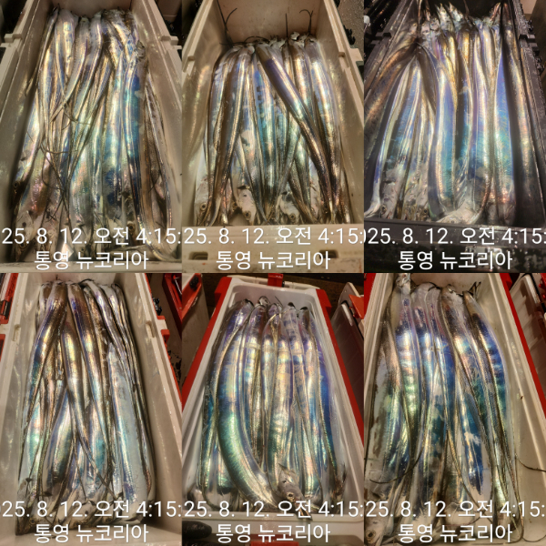 1000068922.jpg