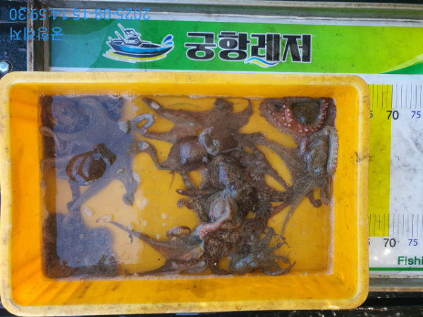 궁항레저_사진_20250815_2.jpg