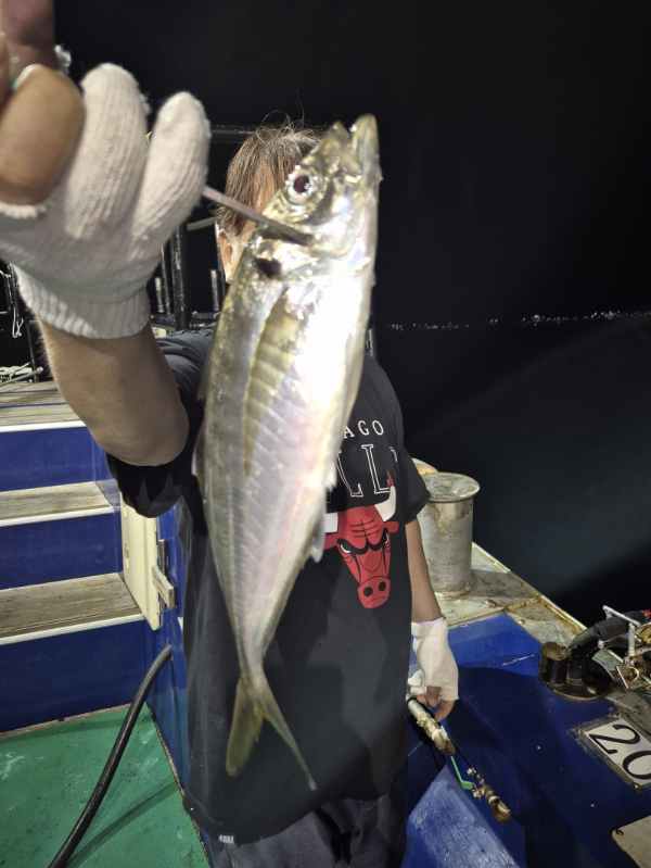 KakaoTalk_20250808_213414502_05.jpg