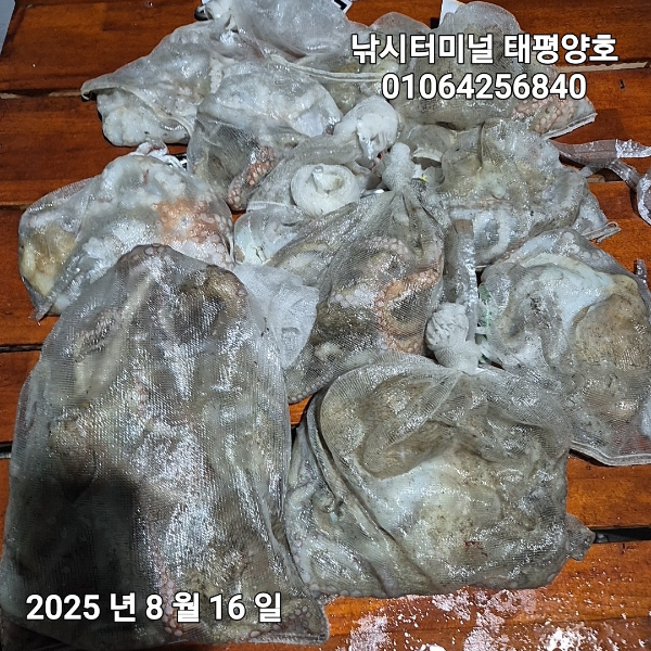 KakaoTalk_20250816_022629382_15.jpg