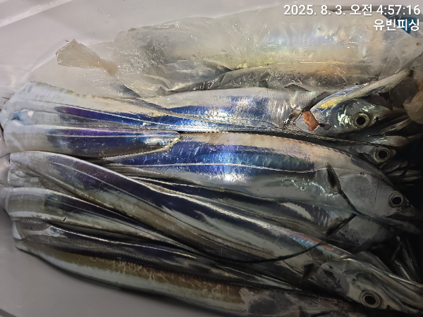 KakaoTalk_20250803_052726788_07.jpg