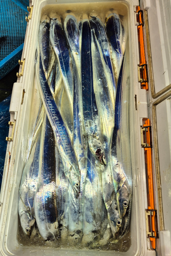 1754009990585.jpg
