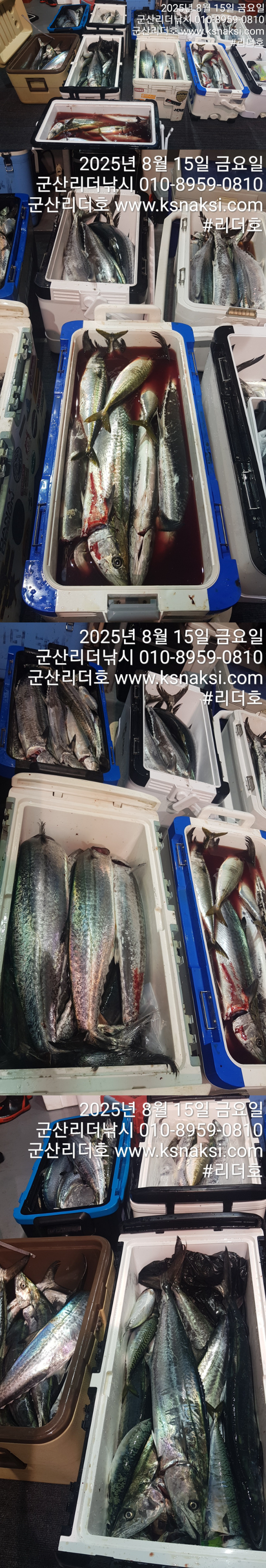 0815리더삼치고등.jpg