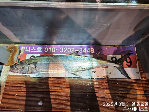 KakaoTalk_20250831_034806864.jpg