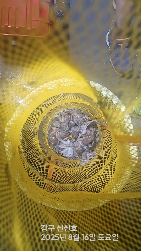 신신낚시 강구점 신신호_사진_20250816_10.jpg