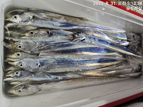 KakaoTalk_20250831_054250924_13.jpg