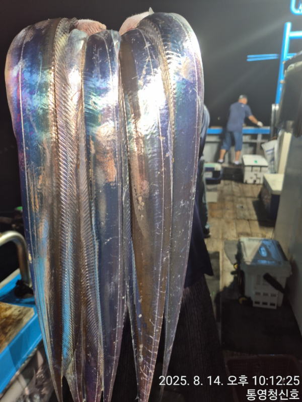 바다의 전설 부평25_사진_20250815_7.jpg