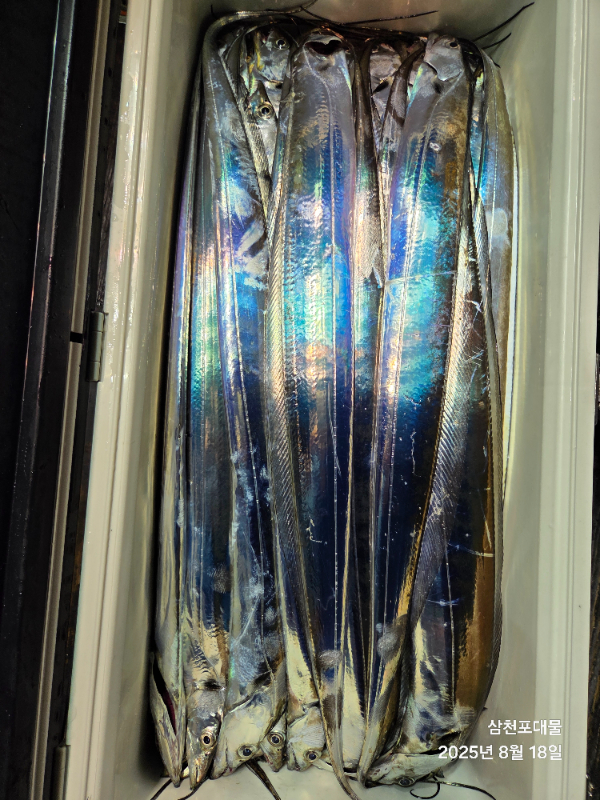 20250818_015821.jpg