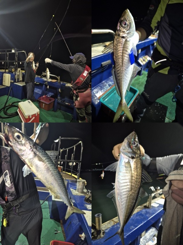 KakaoTalk_20250820_205248791-tile.jpg