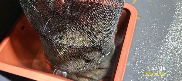DateCamera0802235330.jpg
