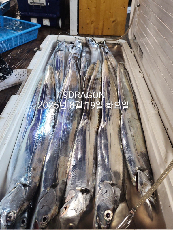 DFC40CAA-0C1D-4064-BAAC-A336996CF358.jpeg