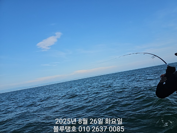 20250826_083032.jpg