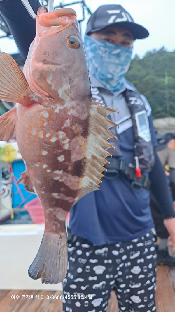 여수금강피싱_사진_20250804_20.jpg