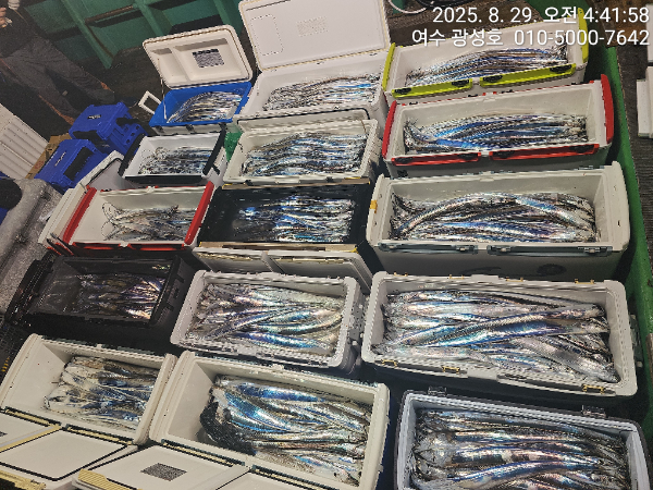 KakaoTalk_20250829_181212955_09.jpg