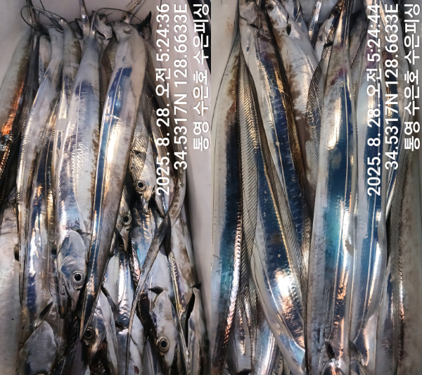 1756332268494-tile.jpg