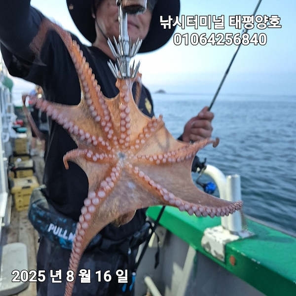 KakaoTalk_20250817_023046900_04.jpg