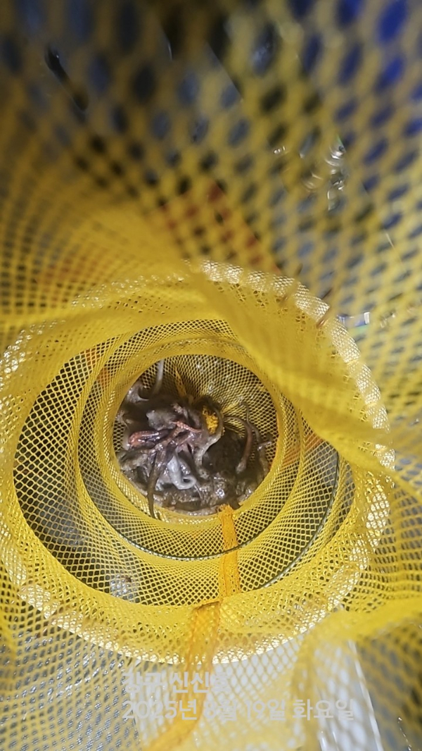 신신낚시 강구점 신신호_사진_20250820_6.jpg