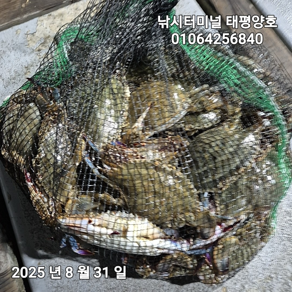 KakaoTalk_20250831_023946979_03.jpg